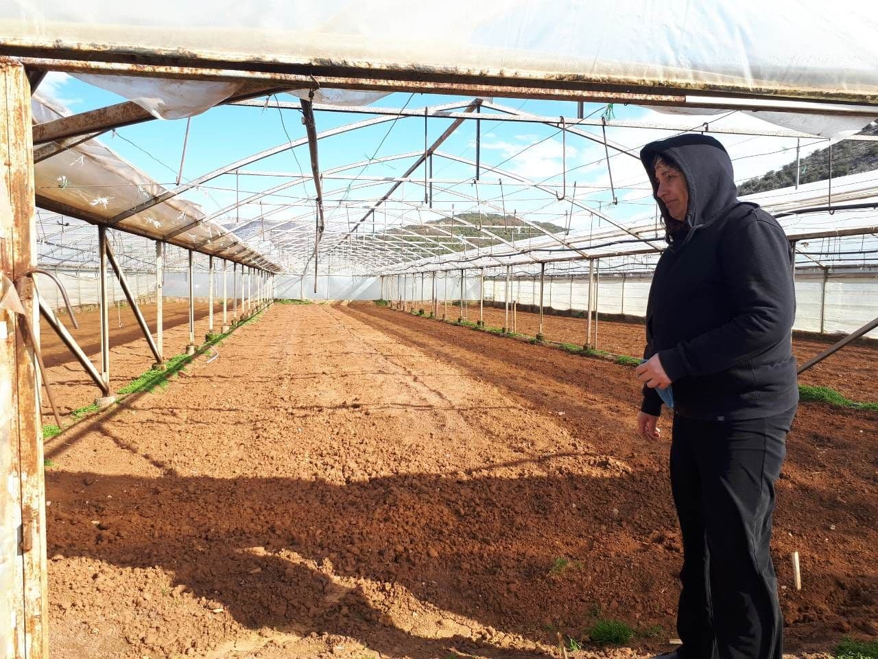 Vjetar izazvao štete na pojedinim plastenicima i objektima Vjetar izazvao štete na pojedinim plastenicima i objektima