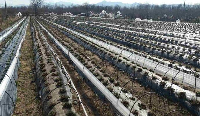 Komisiji za procjenu šteta od elementarnih nepogoda pristiglo 98 zahtjeva Komisiji za procjenu šteta od elementarnih nepogoda pristiglo 98 zahtjeva