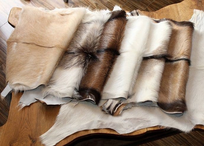 Kampanja za zabranu farmi krzna u Crnoj Gori Kampanja za zabranu farmi krzna u Crnoj Gori