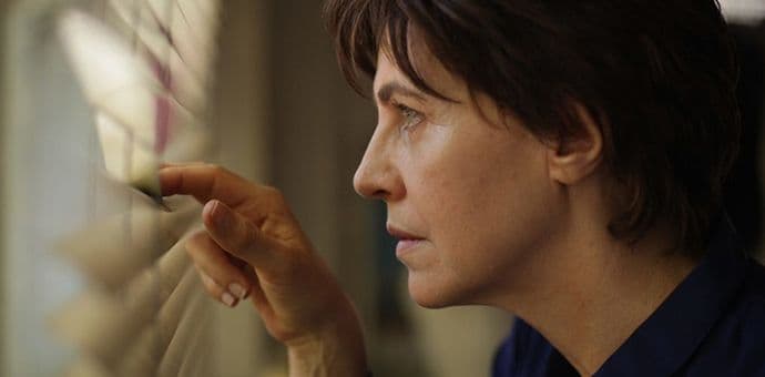 Punokrvni socijalni noar Punokrvni socijalni noar