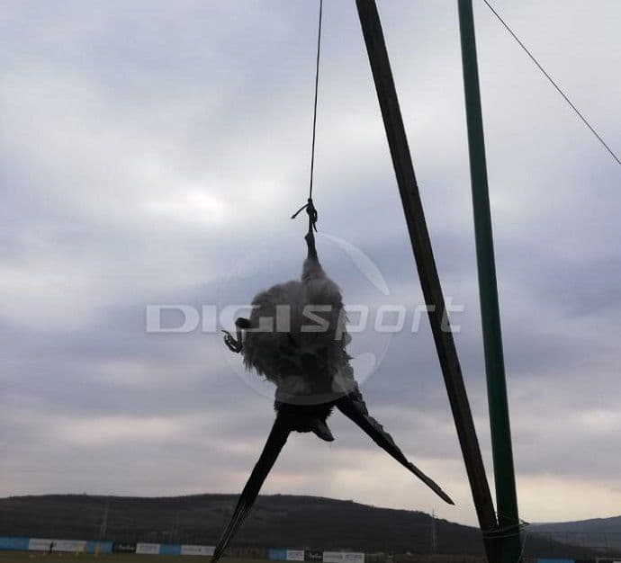 Rumunski klub objesio četiri mrtve vrane pored terena Digisport