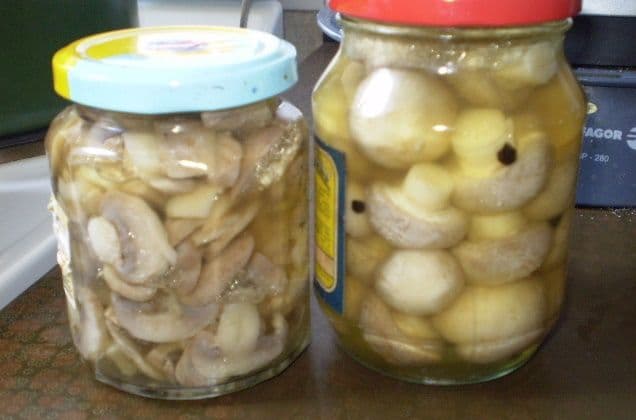 Na granici zaustavljena pošiljka dvije i po tone konzerviranih pečurki Ilustracija