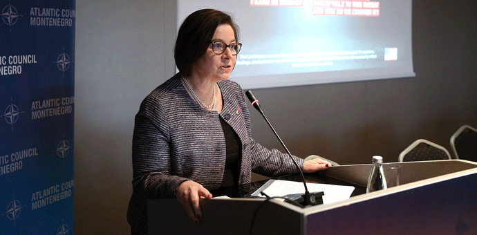 Rajnke: Moskva je širila lažne vijesti u regionu Foto: I. Božović