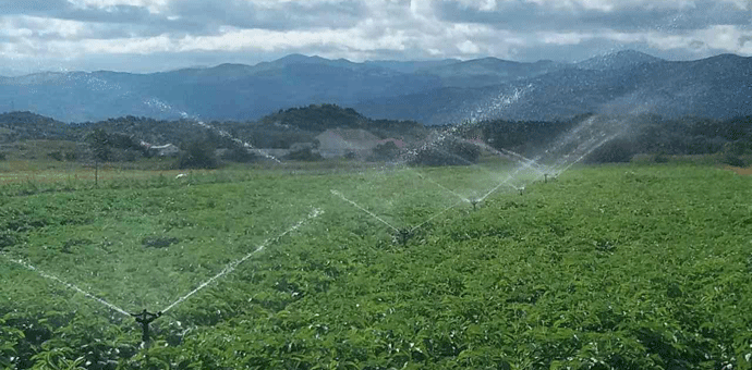 Mladim farmerima bespovratna podrška od 10.000 eura Mladim farmerima bespovratna podrška od 10.000 eura