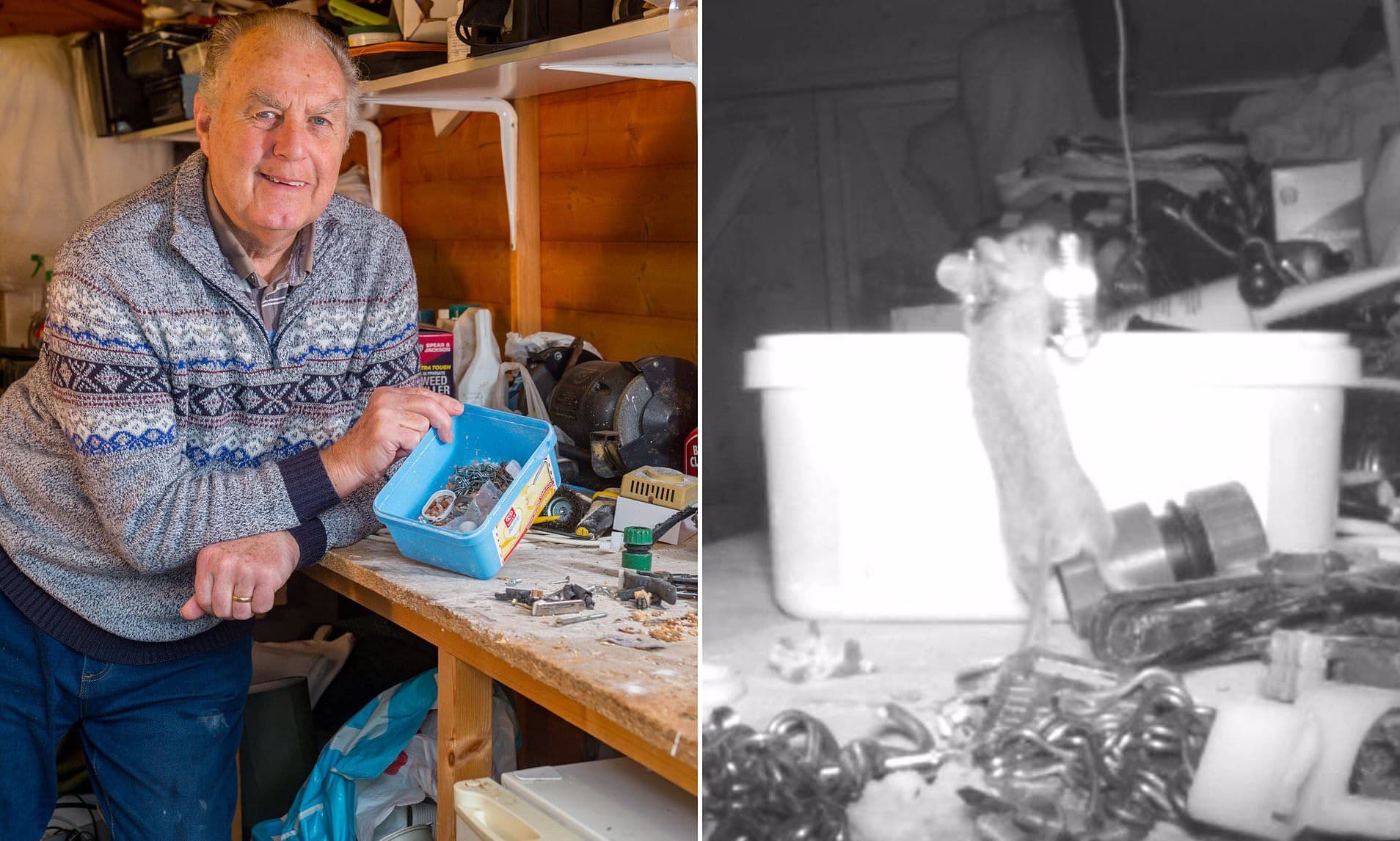 Miš svako veče raspremao sto u šupi (VIDEO) Miš svako veče raspremao sto u šupi (VIDEO)