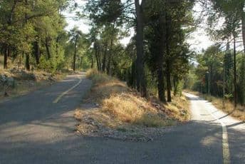 Data saglasnost: Gorica će ubuduće biti Spomenik prirode Data saglasnost: Gorica će ubuduće biti Spomenik prirode