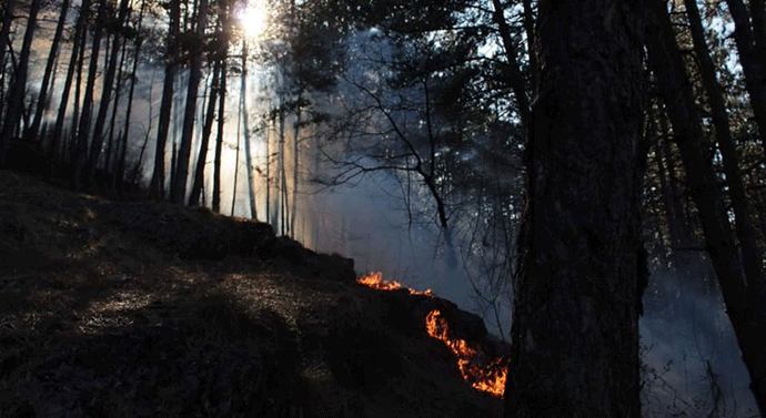 Mladić spriječio širenje požara na Trebjesi Foto: onogost.me