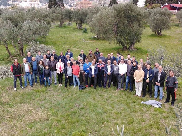 Masovan odziv školi rezidbe maslina u Baru Masovan odziv školi rezidbe maslina u Baru