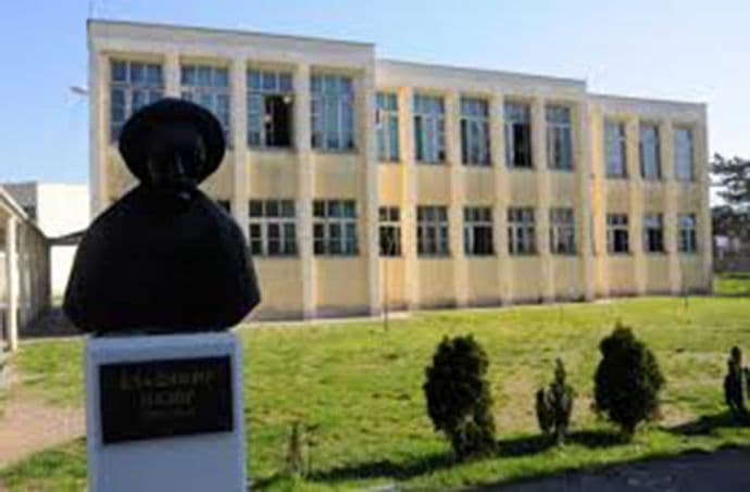 Lazar Janjušević- virtuoz na harmonici Foto: borba.me