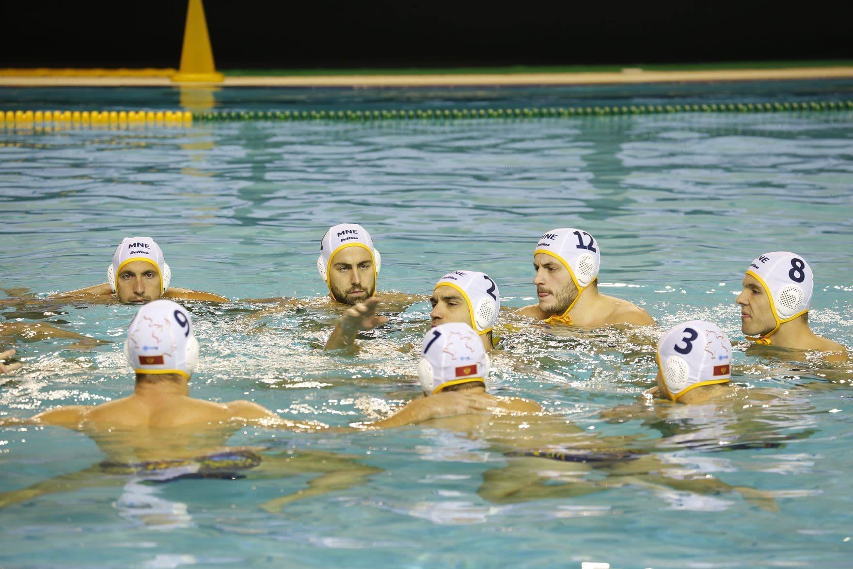 Remi "ajkula" sa Srbijom na startu SP Remi "ajkula" sa Srbijom na startu SP