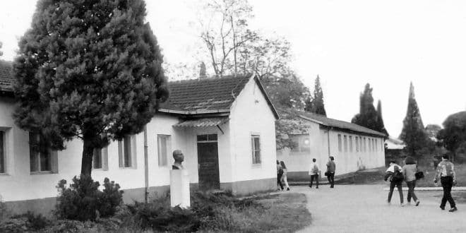 Maturanti podgoričke Ekonomske škole slave 20 godina mature Maturanti podgoričke Ekonomske škole slave 20 godina mature