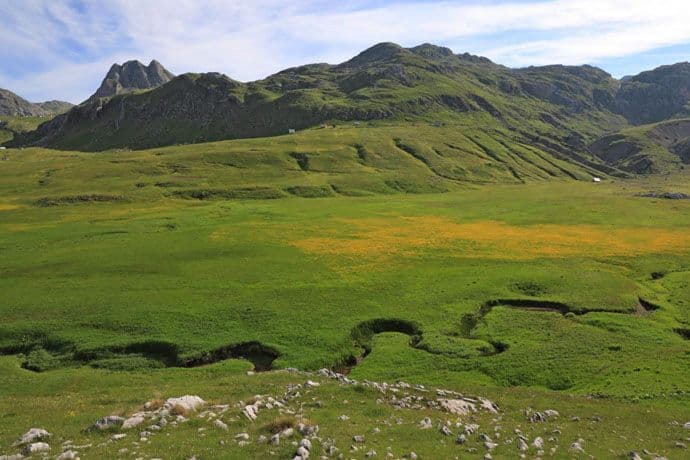 EU projekat "Uspostavljanje mreže Natura 2000 " završen uspješno EU projekat "Uspostavljanje mreže Natura 2000 " završen uspješno