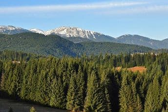 Godišnji program gazdovanja šumama usvojen juče Godišnji program gazdovanja šumama usvojen juče