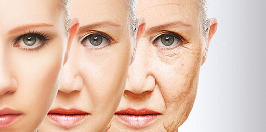 Pusti suzu, Miljana! Pusti suzu, Miljana!