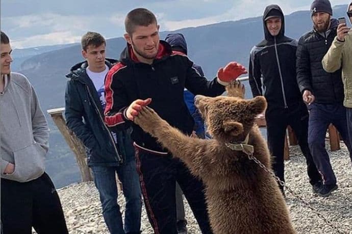 (VIDEO) Nurmagomedov ponovo u klinču sa medvjedom (VIDEO) Nurmagomedov ponovo u klinču sa medvjedom