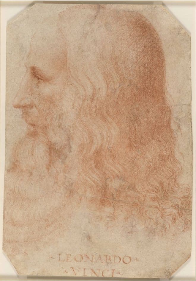 davinci1