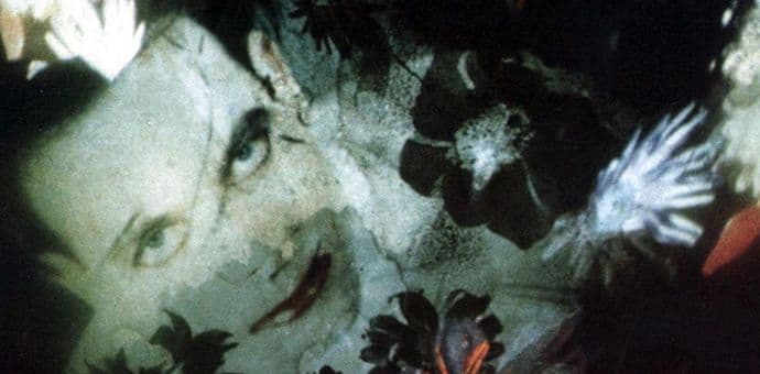 Pauk uhvaćen u sopstvenoj mreži Pauk uhvaćen u sopstvenoj mreži