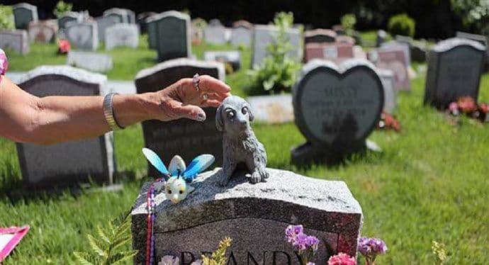 Groblje za kućne ljubimce potreba Podgorice i građana Groblje za kućne ljubimce potreba Podgorice i građana