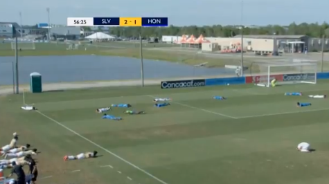 Roj pčela prekinuo meč Roj pčela prekinuo meč