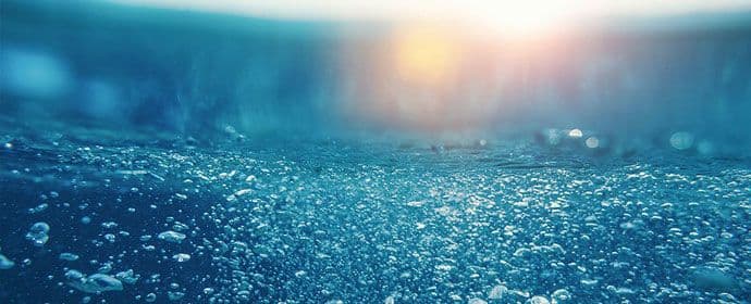 U Tihom okeanu otkrivena bića koja udišu arsen U Tihom okeanu otkrivena bića koja udišu arsen