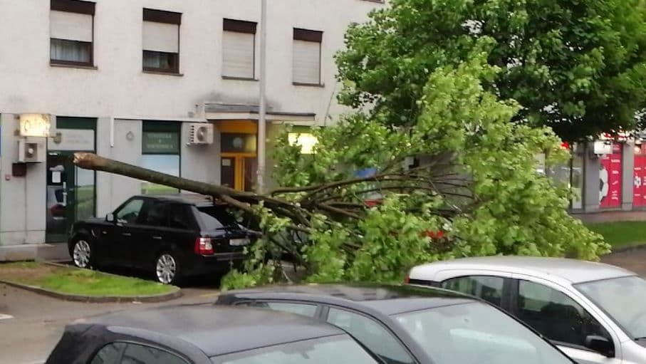 Hrvatska: Orkanski vjetar čupao stabla i krovove Hrvatska: Orkanski vjetar čupao stabla i krovove
