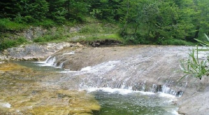 Bukovica Šavniku donosi tri miliona Bukovica Šavniku donosi tri miliona