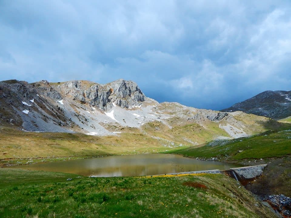 Sačuvajmo Sinjajevinu: Odgovor premijeru i ministru odbrane Sačuvajmo Sinjajevinu: Odgovor premijeru i ministru odbrane