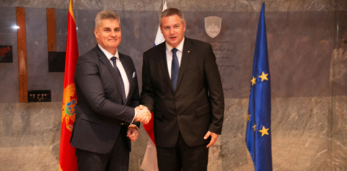 Brajović: Proširenje Zapadnog Balkana da bude na listi prioriteta EP i EK Brajović: Proširenje Zapadnog Balkana da bude na listi prioriteta EP i EK