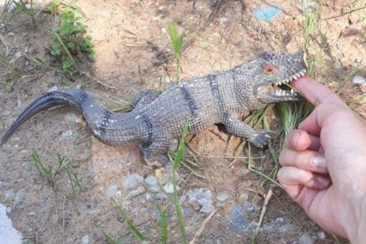 TV Prva: Kako nastaje lažna vijest TV Prva: Kako nastaje lažna vijest