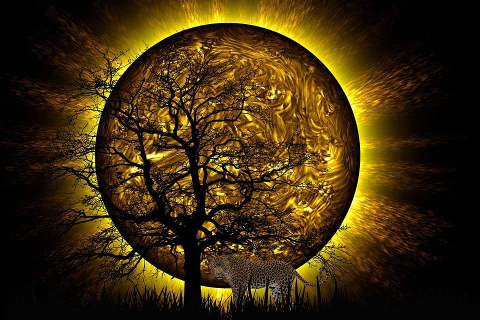 Neobični susreti su rijetki Nikola Žuvela, Vedski Jyotish