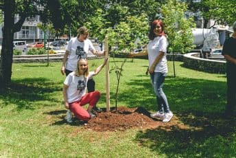 Podgorica bogatija za 14 novih sadnica