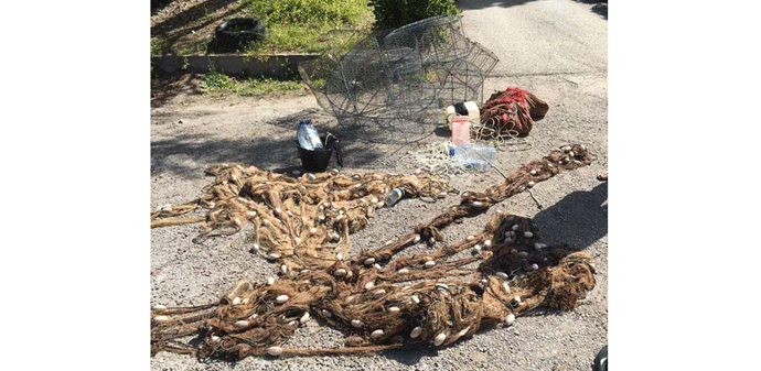 Cijela obala pod kontrolom Cijela obala pod kontrolom