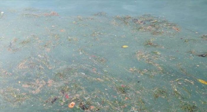 Kupače u Herceg Novom dočekao otpad: Prljavština u moru duž Savine Kupače u Herceg Novom dočekao otpad: Prljavština u moru duž Savine