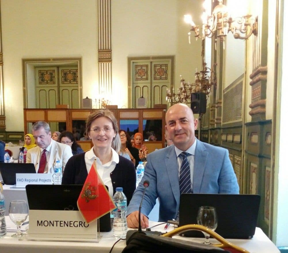 Aktivnosti Naučnog komiteta GFCM značajne za dalji razvoj crnogorskog ribarstva Aktivnosti Naučnog komiteta GFCM značajne za dalji razvoj crnogorskog ribarstva