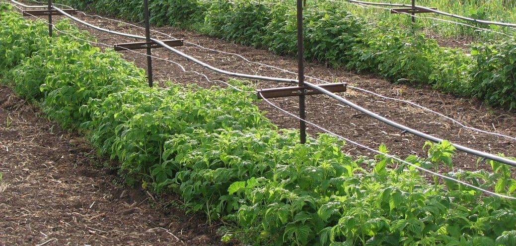 Radionice na temu brendiranja domaćih proizvoda Radionice na temu brendiranja domaćih proizvoda