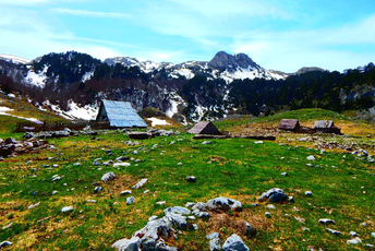 Počelo istraživanje nultog stanja životne sredine na Sinjajevini Počelo istraživanje nultog stanja životne sredine na Sinjajevini