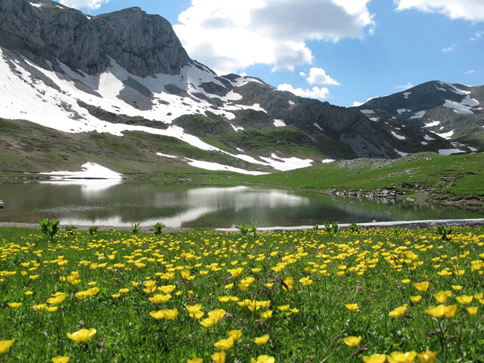 GI Sačuvajmo Sinjajevinu: Simović pamti kraće od očekivanog, ni pola godine GI Sačuvajmo Sinjajevinu: Simović pamti kraće od očekivanog, ni pola godine