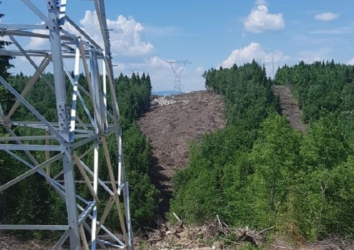 Nastaviti odlučno u spriječavanju bespravnih aktivnosti u šumarstvu Nastaviti odlučno u spriječavanju bespravnih aktivnosti u šumarstvu