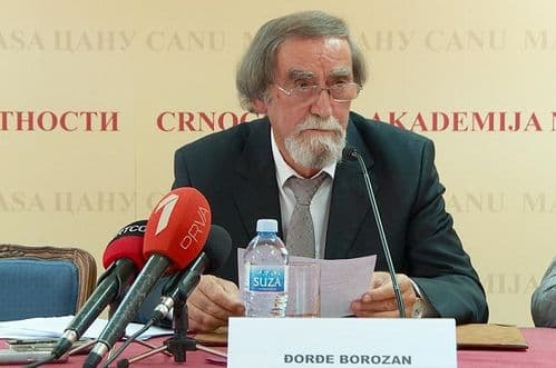 Preminuo akademik Đorđe Borozan