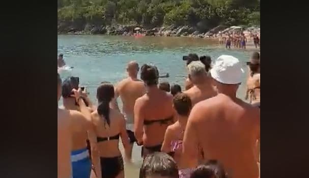 Kupače na Jazu uznemirila riba, mislili da je ajkula Kupače na Jazu uznemirila riba, mislili da je ajkula