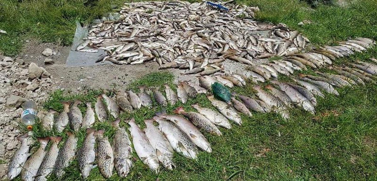 Inspekcija će tražiti maksimalne kazne za EPCG i odgovorno lice Inspekcija će tražiti maksimalne kazne za EPCG i odgovorno lice