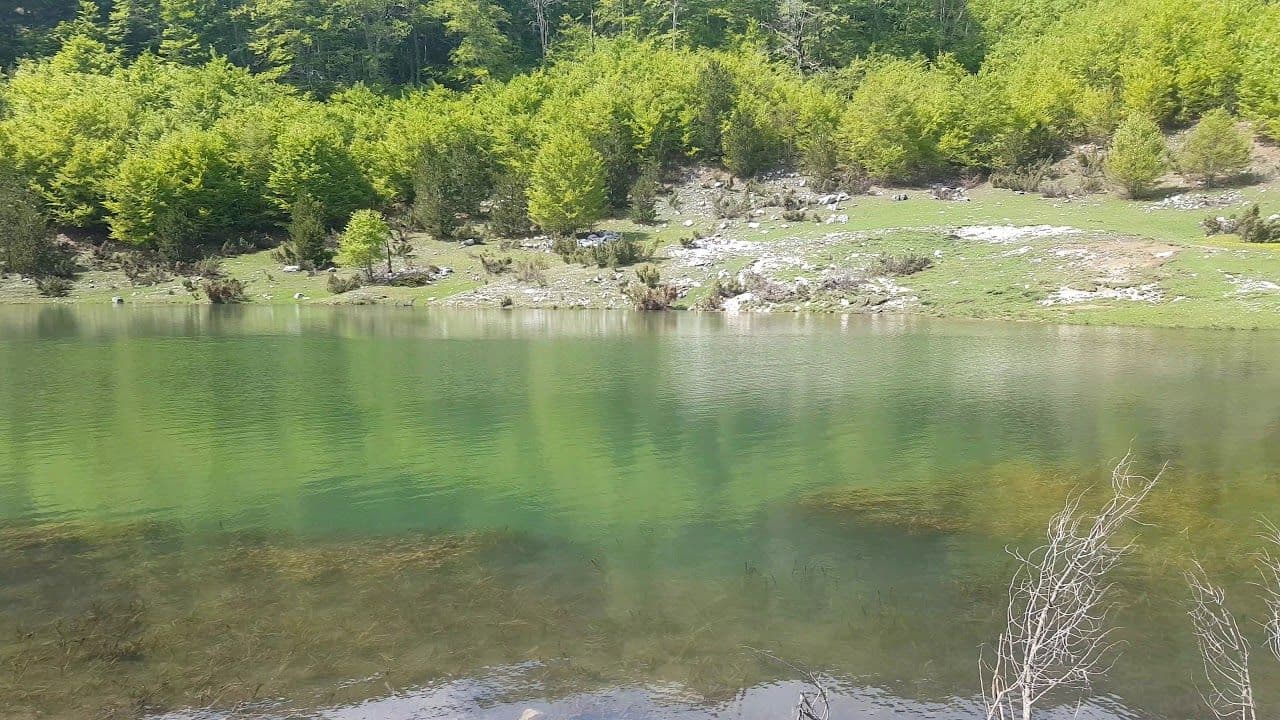 Biser Bjelopavlićkog katuna Biser Bjelopavlićkog katuna