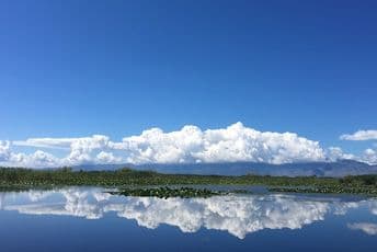 Spriječen izlov ribe strujom na Skadarskom jezeru Spriječen izlov ribe strujom na Skadarskom jezeru