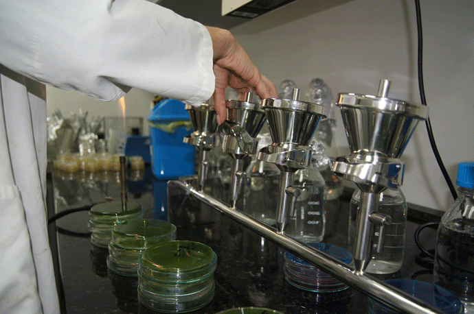 Odličan kvalitet vode na crnogorskim plažama Odličan kvalitet vode na crnogorskim plažama