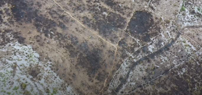 U požaru kod Šibenika izgorjela površina veličine 2 hiljade fudbalskih terena U požaru kod Šibenika izgorjela površina veličine 2 hiljade fudbalskih terena