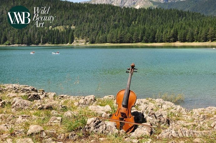 Uskoro počinje festival Wild Beauty Art na Žabljaku Uskoro počinje festival Wild Beauty Art na Žabljaku