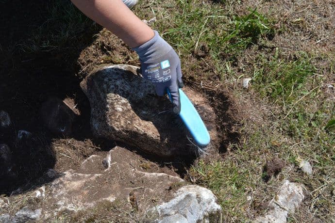 Bare Žugića pokazuju novo lice Bare Žugića pokazuju novo lice