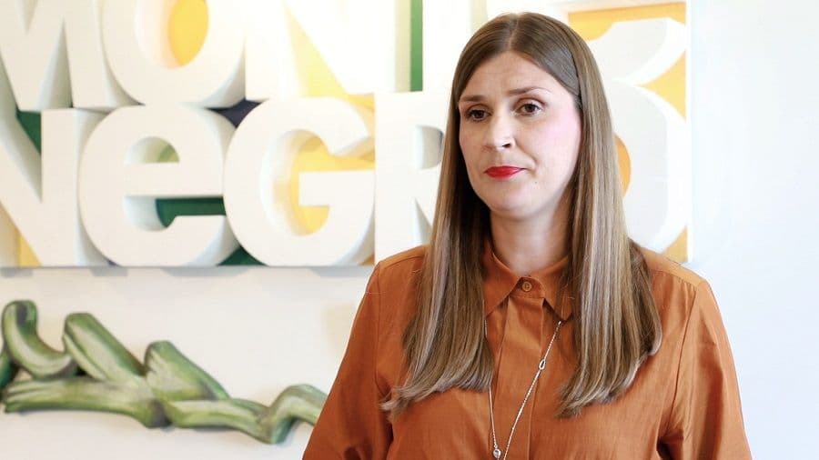 NTO: Više turista i prihoda nego lani (VIDEO) NTO: Više turista i prihoda nego lani (VIDEO)