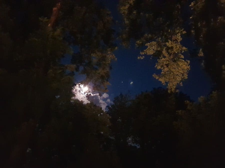 Nedjeljni bioritam (26. avgust - 01. septembar) Nedjeljni bioritam (26. avgust - 01. septembar)