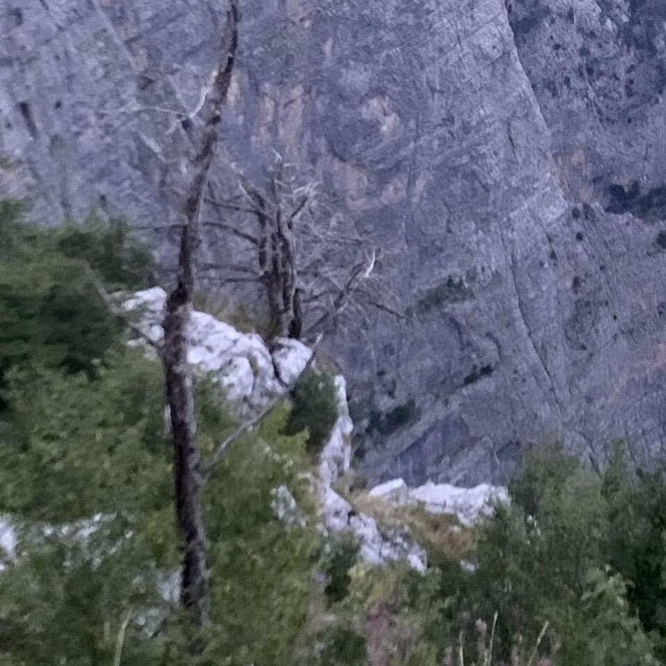 Na Kučkim koritima spašene dvije osobe Na Kučkim koritima spašene dvije osobe